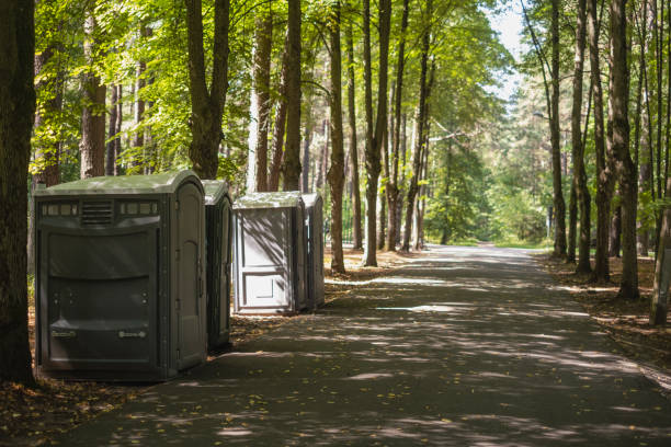 Best Porta potty rental near me  in Edneyville, NC
